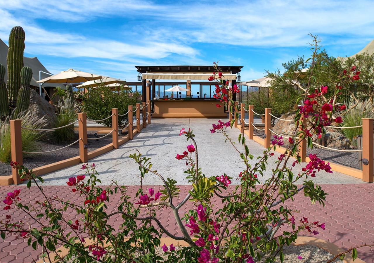 Villa Del Palmar At The Islands Of Loreto Лорето Екстериор снимка
